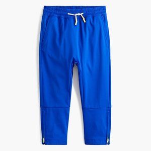 ISO:  Crewcuts / JCrew Active Jogger Pants (Red / Blue or Black) 4T - 10T